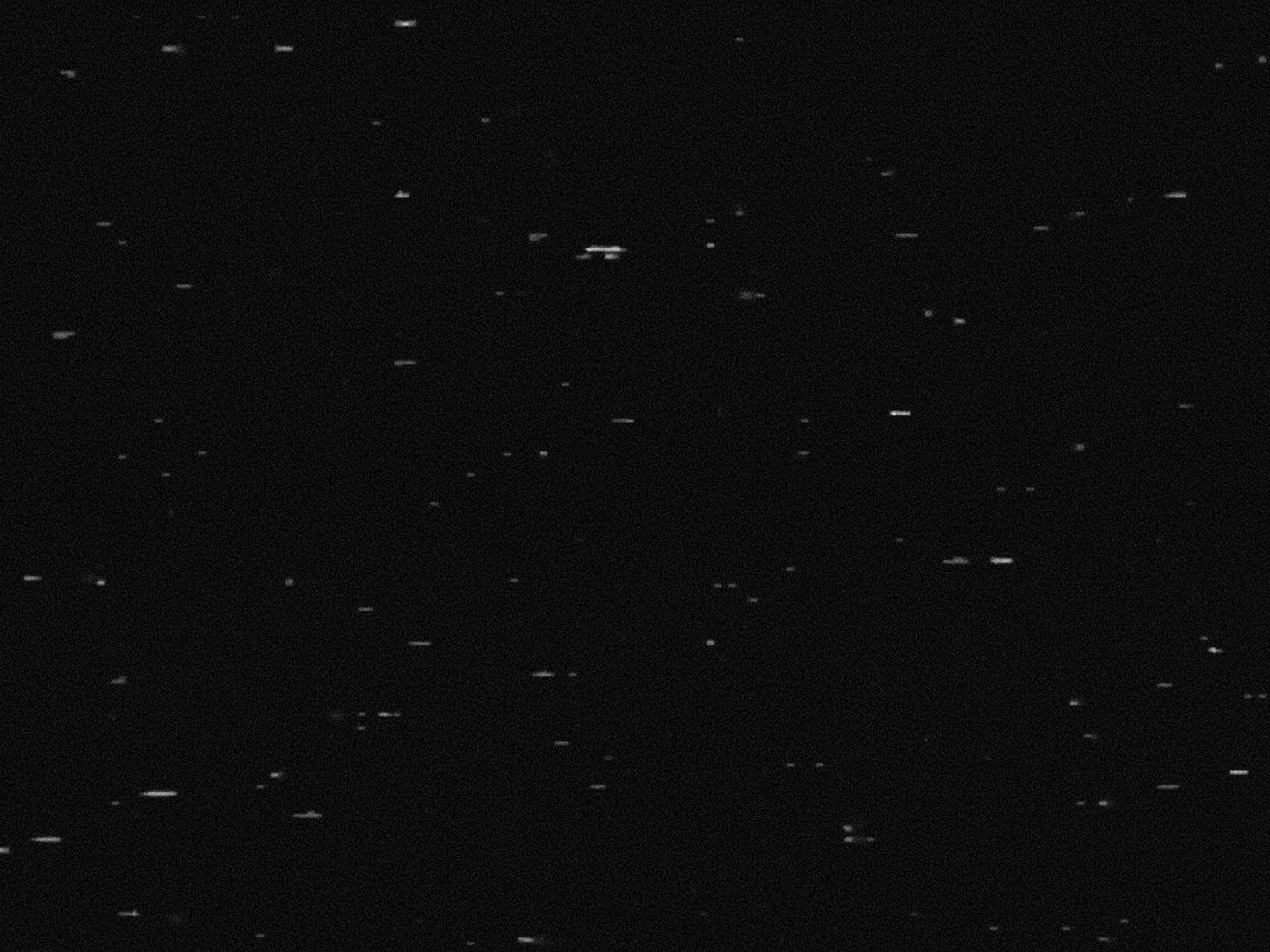 starvingthespider8